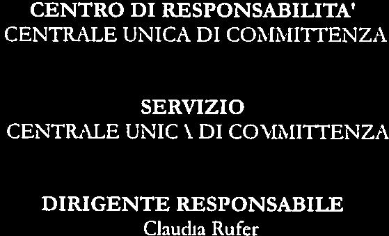-_, CENTRO DI RESPONSABILITÀ CENTRALE UNICA DI COMMInENZA SERVIZIO CENTRALE