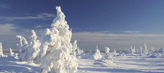 PROGRAMMA BASIC 5 giorni 4 notti Partenza del 09 DICEMBRE GIORNO 1 Italia / Rovaniemi Partenza con volo ITC Neos da Milano Malpensa.