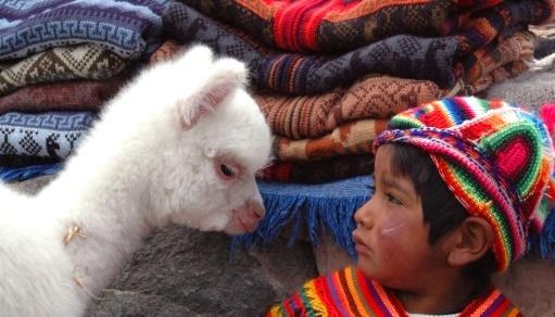 A seguire, un lungo trasferimento tra i deserti colorati che circondano la Panamericana Sud ci porterà in serata ad Arequipa.