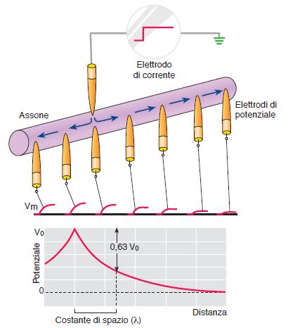 0.05 mm λ