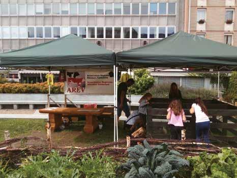 Elevage Vallée d Aoste 17 La Petite Ferme in Aosta Per la manifestazione Sons et