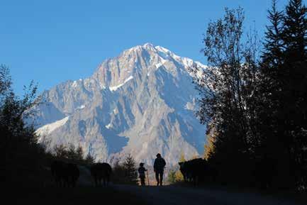 Prima posizione per Maura Mochet con la foto intitolata La Désarpa ai piedi del Monte Bianco, in seconda posizione si è piazzato Filippo Ducly con lo