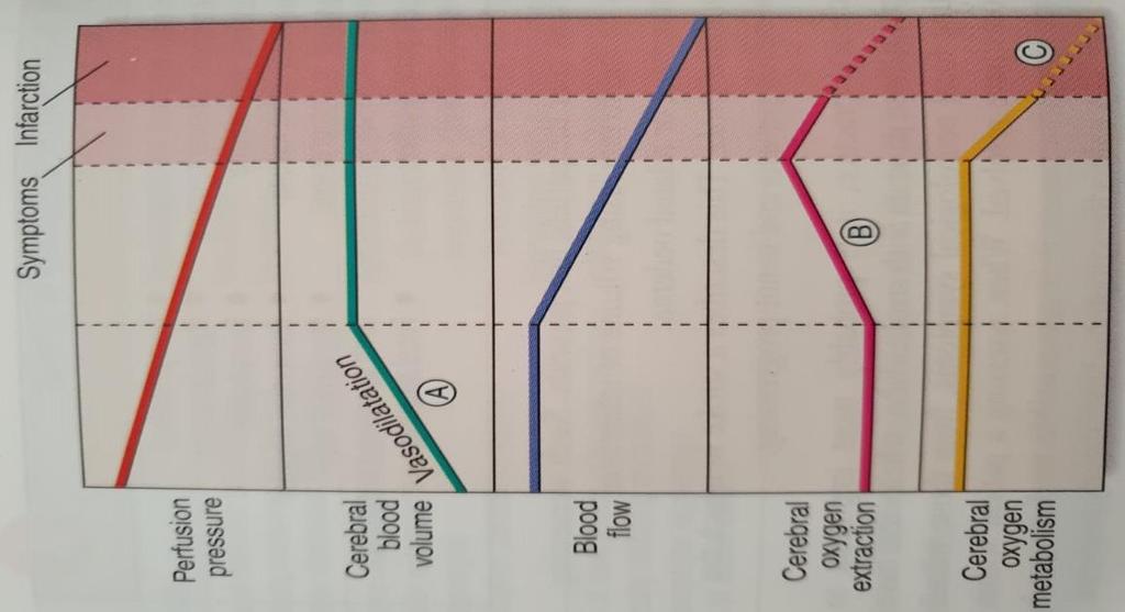 Core e penombra ischemica Se il flusso sanguigno viene ripristinato prima di una significativa quantità di morte cellulare, il paziente può sperimentare solo sintomi transitori, cioè un attacco