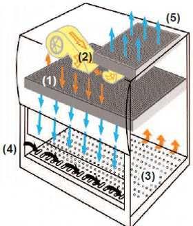 L aria decontaminata dal filtro assoluto (1) scende con flusso laminare sull area di lavoro, ne attraversa il piano (3), si miscela con l aria esterna, che penetra nella cabina attraverso l apertura