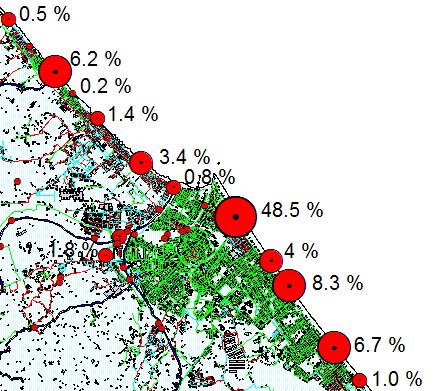 Attraverso il modello numerico si è individuato il peso ambientale di ciascun scaricatore di piena Il peso ambientale deriva dalla valutazione della massa di COD