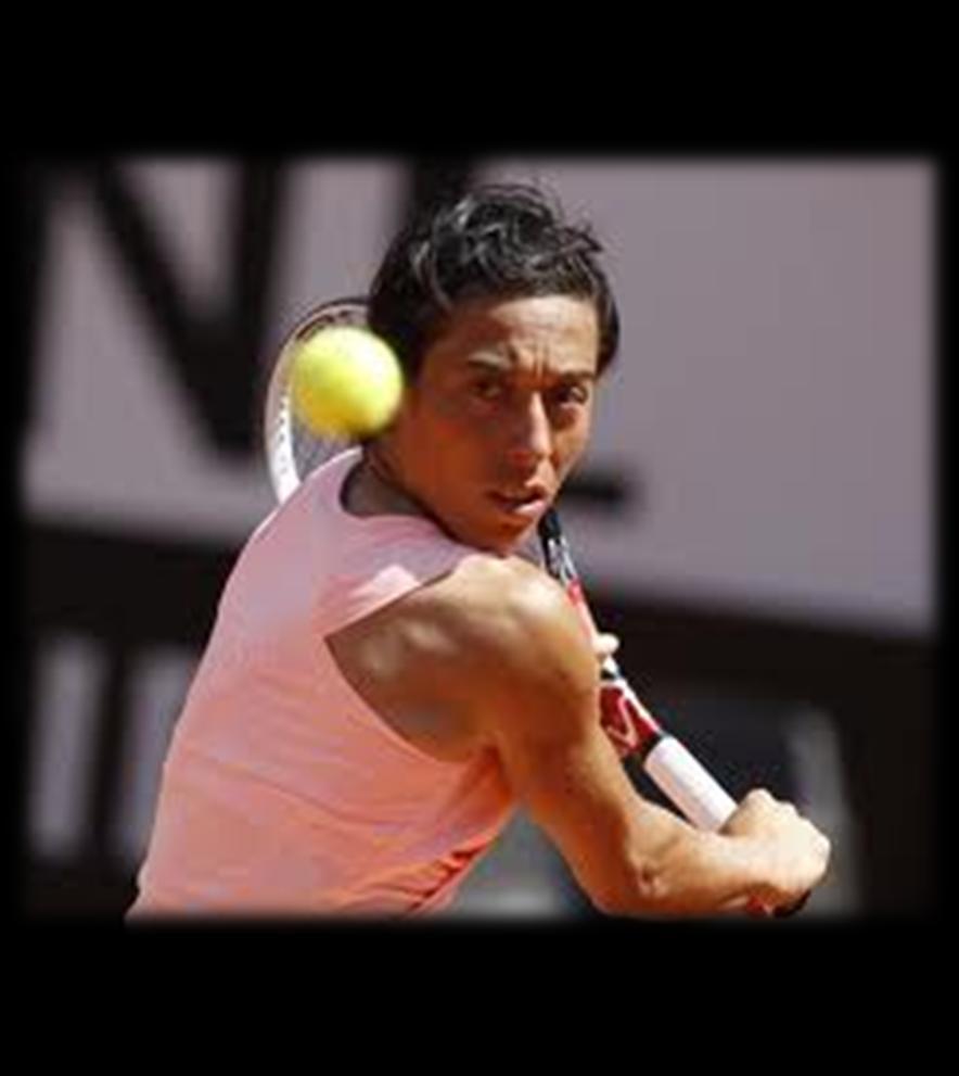 Francesca Schiavone Roland Garros 2010 singolo Fed Cup