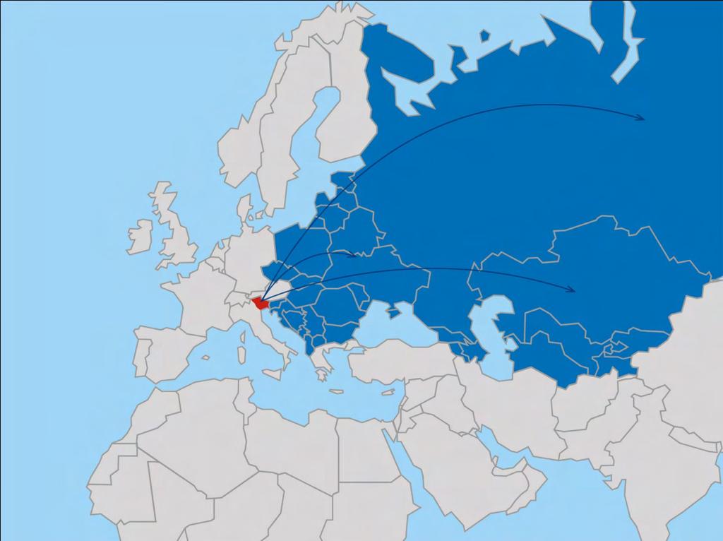 CHI SIAMO SPECIALISTI PER L INTERNAZIONALIZZAZIONE Strumenti finanziari per 30 Paesi: Albania, Armenia, Austria, Azerbaijan, Bielorussia, Bosnia -Erzegovina, Bulgaria, Repubblica Ceca, Croazia,