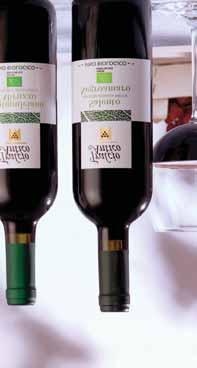 Chardonnay e Primitivo IGP Cantine Paolo Leo 6,29 al lt 8,39 Chianti DOCG