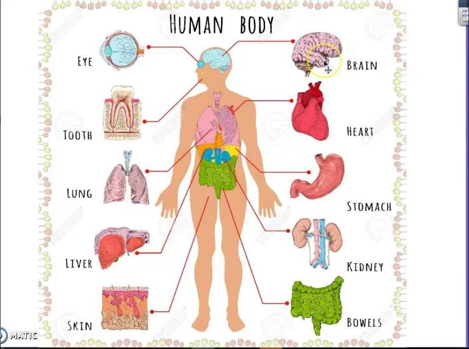 GUCH: MALATTIA MULTIORGANO Clinica endocardite epatopatia pb polmonari pb enterali pb cerebrali scompenso cardiaco endocardite epatopatia pb