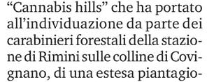 Diffusione: n.d.