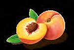 GELATO ALLO ZABAIONE CON VARIEGATO PERA GELATO AL BISCOTTO CON VARIEGATO STRUDEL con il 50% di pera semicandita. Presenza di frutta a cubetti, morbidi e piacevolmente masticabili.