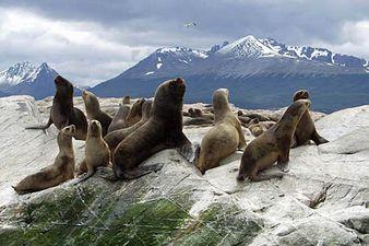 8 Giorno: Ushuaia Partenza al mattino diretti in fuoristrada verso I laghi Escondido e Fagnano. Questa avventura permette di vivere un'esperienza nella vera Tierra del Fuego.