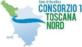 Intervento di sistemazione idraulico forestale Fosso del Monte in località Azzano - Comune di Seravezza (LU) CUP H81E17000060006