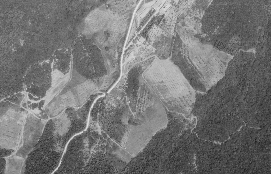 4 Fotogramma 1976 della Regione Toscana Il terreno presente a sud-est e più a valle dell area da edificare, attualmente incolto, presenta alcuni solchi di erosione concentrata.