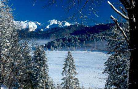 com IN CAMMINO CON LE GUIDE ALPAGO CANSIGLIO 14 febbraio 2015 alle 17:30 Sede: ritrovo presso il Museo dell Uomo, Pian Osteria, Cansiglio (BL) Facile escursione immersi nell'affascinante atmosfera