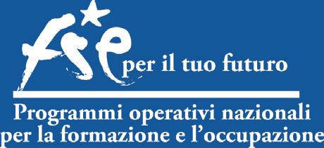 formativi delle imprese italiane nell industria e nei servizi SISTEMA  formativi delle imprese italiane nell industria e nei