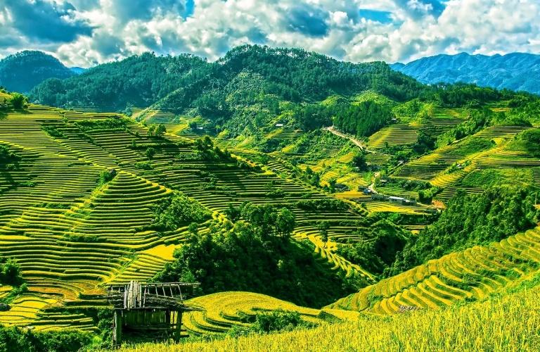 Tempo a disposizione prima del trasferimento alla stazione per prendere il treno notturno per Lao Cai. Pasti liberi. Pranzo e cena in ristorante locale.