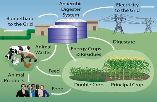 IL BIOGASFATTOBENE NON È BIOENERGIA COME LE ALTRE Continuare a produrre cibo e alimenti di qualità differenziando e integrando l attività agricola (FOOD & FUEL) con la produzione di materie prime