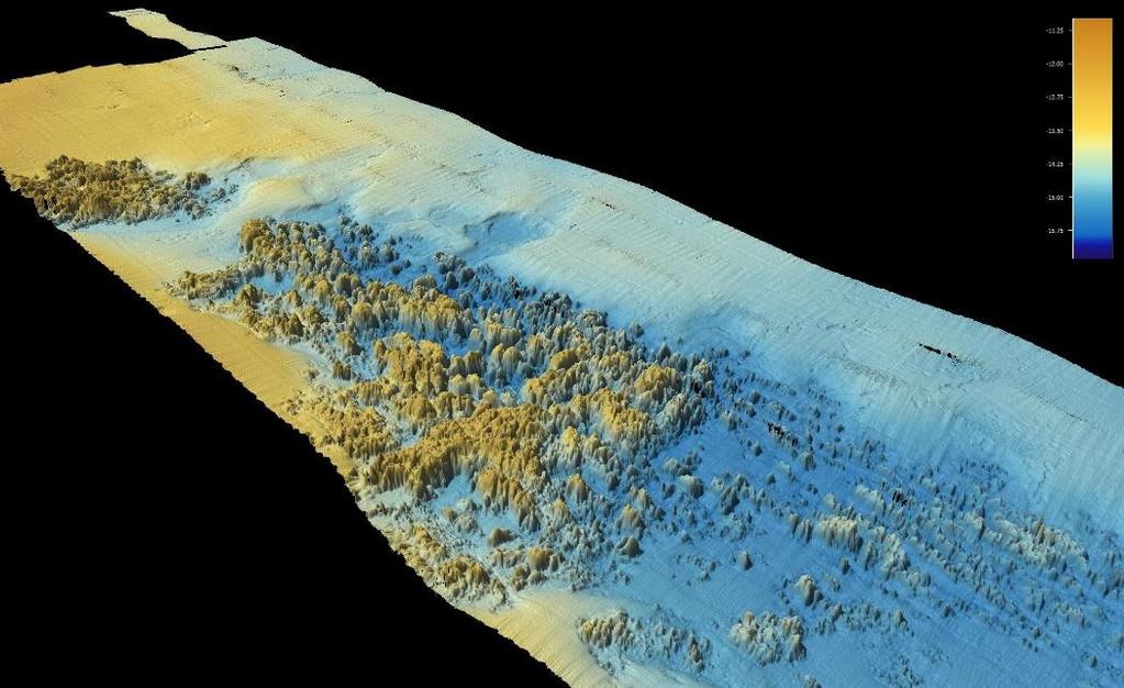 RILIEVI MORFOBATIMETRICI Sonar multibeam con funzionalità di side scan sonar Fascio