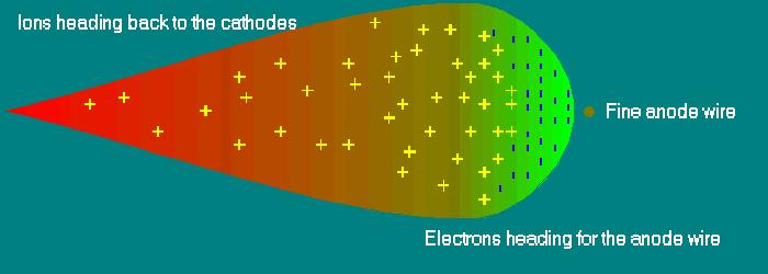 Poiché il primo segnale che arriva è quello degli elettroni, questo è il segnale che viene misurato.