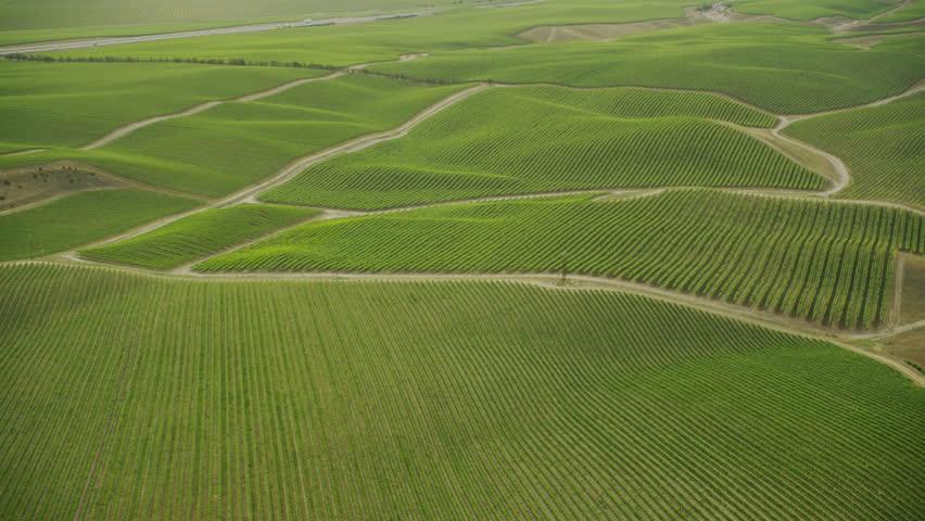 Di cosa si parla AGROECOSISTEMA - IN SCIENZE AGRARIE: ecosistema secondario caratterizzato dall intervento umano finalizzato alla produzione agricola e zootecnica.