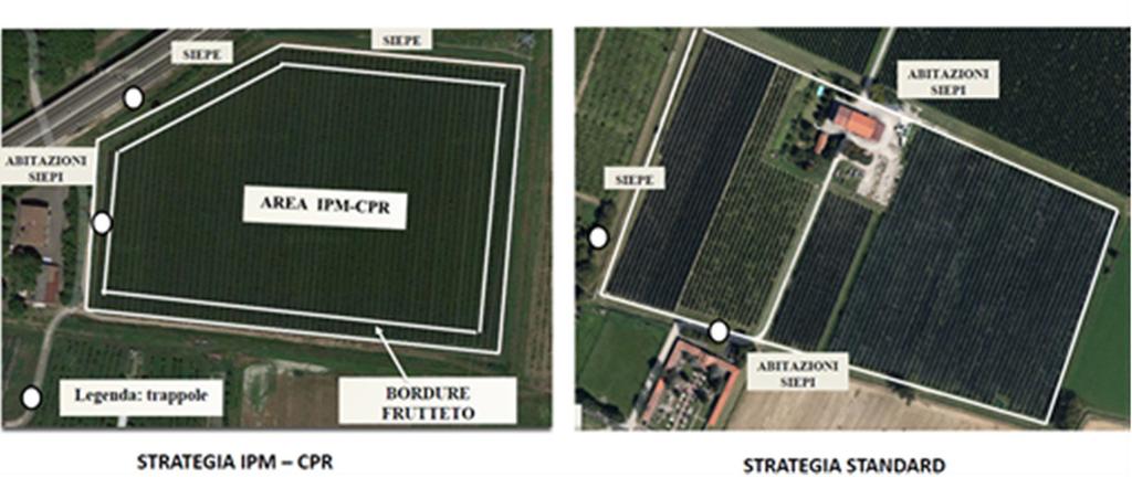 GESTIONE DEL PERIMETRO FRUTTETO TATTICA IPM-CPR (Crop Perimeter Restructuring)