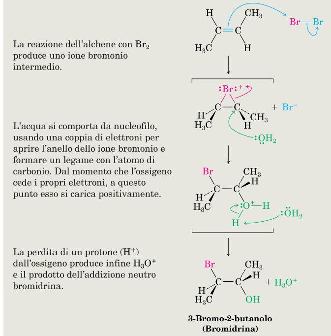 Alcheni: addizioni elettrofile Formazione di aloidrine Formazione di bromidrina mediante reazione di un alchene con Br 2 in presenza di acqua.