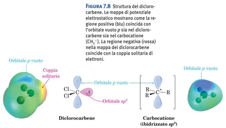 Alcheni: addizioni elettrofile Addizione di carbene Struttura del diclorocarbene.