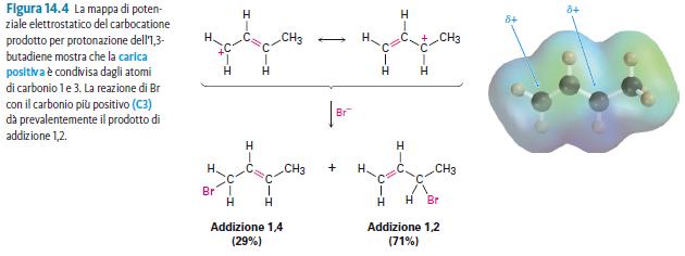Dieni coniugati: addizioni elettrofile Br + + Br - + Br - Dieni coniugati: