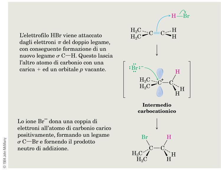 Alcheni: reattività Addizione elettrofila di acidi alogenidrici Meccanismo: