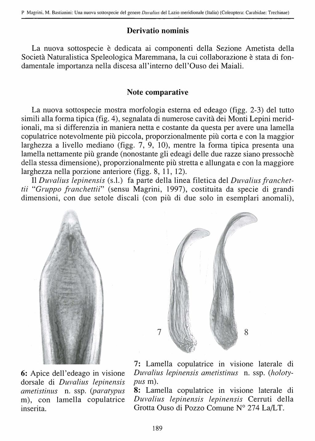 P Magrini. M. Bastianini: Una nuova Slovenian sottospecie Entomological del genere Society, Duvalius download del Lazio unter meridionale www.biologiezentrum.