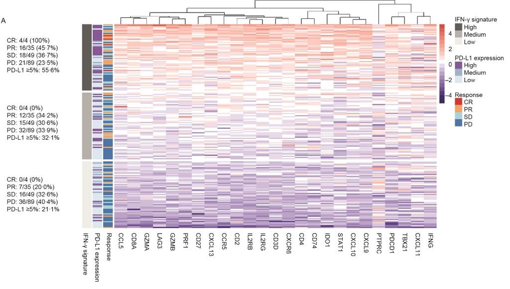 Signature dell Interferone- γ (25 geni) - heatmap P=0.0003 CR: 4/4 (100%) PR: 16/35 (45.7%) SD: 18/49 (36.7%) PD: 21/89 (23.5%) PD- L1 5%: 55.6% CR: 0/4 (0%) PR: 12/35 (34.2%) SD: 15/49 (30.