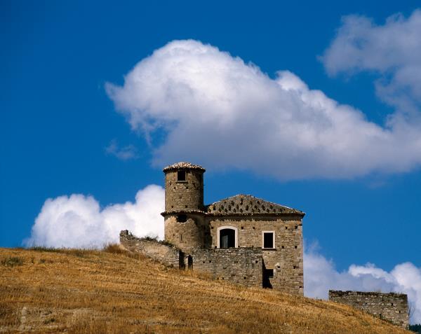 DEGLI STUDI DEL MOLISE DIPARTIMENTO