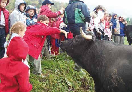 Le fattorie didattiche Elevage Vallée d Aoste 19 L Assessore Regionale all Agricoltura e Risorse Naturali Giuseppe Isabellon fa presente che, nel 2003, a seguito di un progetto europeo nato con l