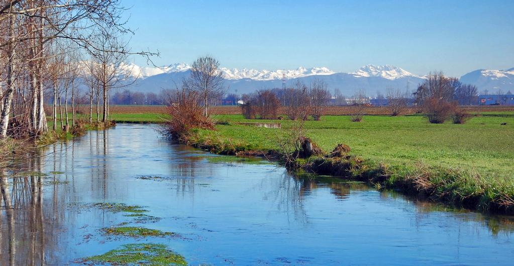 Comune di Mozzanica Provincia