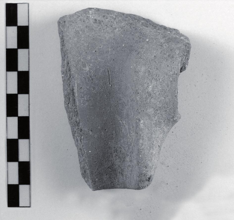 La ceramica da preparazione fenicia e punica 281 Catalogo Bacini tipo BA16 175. NR04/PG/11000/CFP/51. Fig. 29. Ampio frammento di orlo e parete. Diam. max orlo cm 40; h. res. cm 3,8.