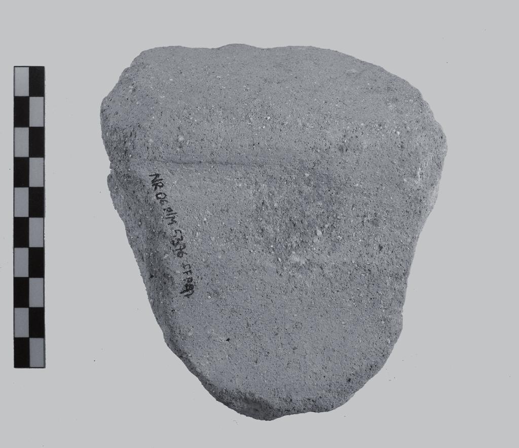 La ceramica da preparazione fenicia e punica 293 3. Mo rta i Il frammento presentato di seguito (n. 1, fig. 40) costituisce l unica attestazione di questa tipologia nell area P.