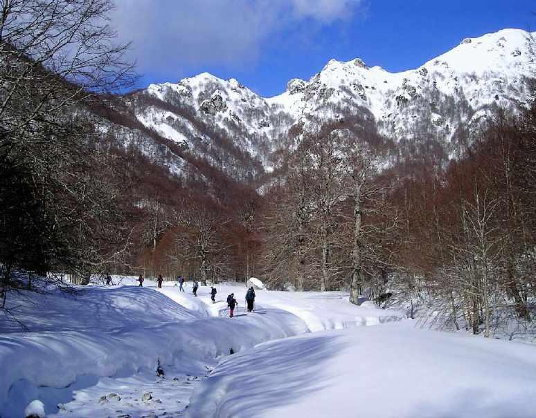 FEBBRAIO 10 domenica Monte Circeo (541 m) E Disl. 540 m Acc.: D. Sbardella, M.