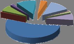 682 210,40% Ragione Sociale Gennaio Dicembre 2008 % su tot 2009 % su tot su anno Consorzio 1 0,06% 4 0,07% 3 300,00% S.r.L. 796 45,49% 2631 48,44% 1.835 230,53% S.p.A. 825 47,14% 2398 44,15% 1.