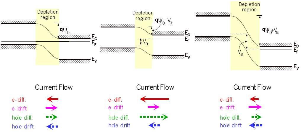 Polarizzazione della giunzione p-n Diagramma a bande e chema delle correnti L effetto della