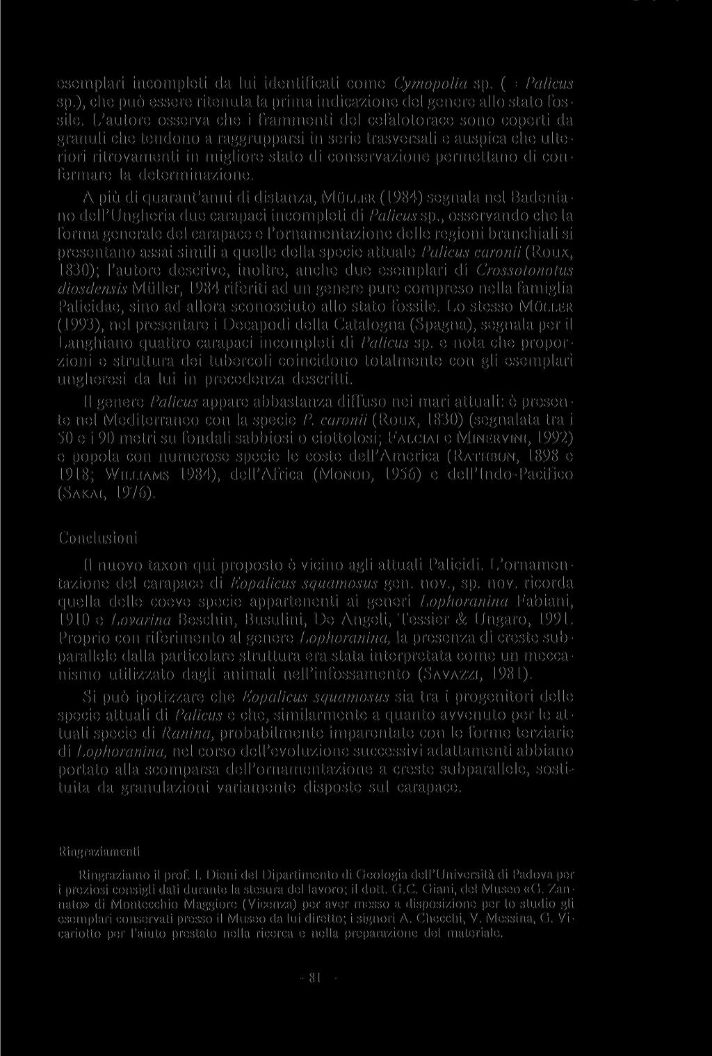 esemplari incompleti da lui identificati come Cymopolia sp. (= Palicus sp.), che può essere ritenuta la prima indicazione del genere allo stato fossile.