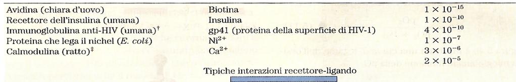 Equazione di Hill per un generico ligando E + L EL E n + nl EL n K a = [EL] / [E][L] = k a / k d NB: K a = 1 / K d K a = [EL n ] / [E][L] n K a [L] [E] =