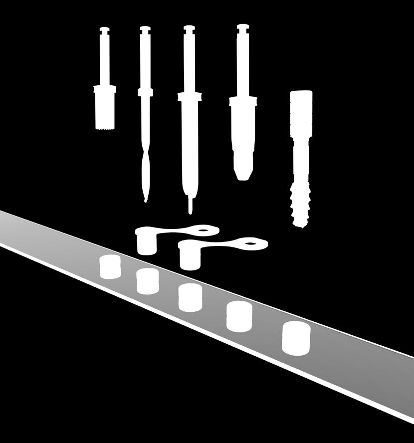 Chirurgia tiologic position Pianificazione e accessori Maschiatore position