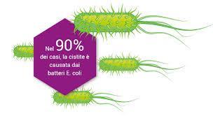 Diagnosi ed eziologia della cistite Auto-diagnosi: Il pz suggerisce al medico un etichetta diagnostica legata a sue precedenti esperienze.