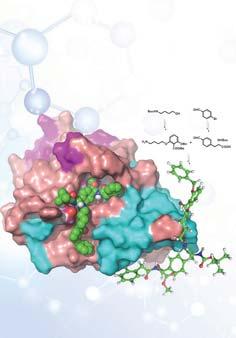 ACTA CHIMICA SINICA Vol. 74, No. 2 February 15, 2016 Contents On the cover: Protein tyrosine phosphatase 1B (PTP1B) has been considered as one of the drug targets of diabetes.