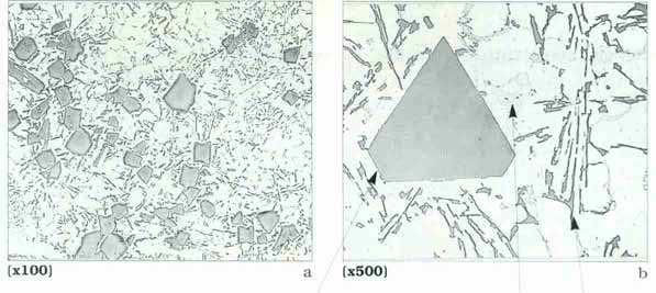 STRUTTURE METALLOGRAFICHE G-Al Si 17,5 Ni