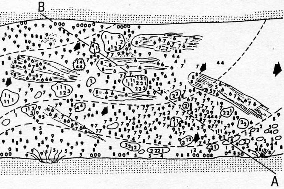 nei punti immediatamente a monte e a valle della sezione e sotto ai massi di più grosse dimensioni. 1 Fig. 1 (Ghetti, 1) 1 Distribuzione di ipotetiche specie (numeri da 0 a ) in un tratto torrentizio.