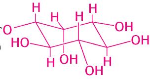 miristico (14 C) legato alla Gly N- terminale della proteina Fosfatidilinositolo +