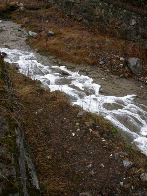 i Macroinvertebrati Bentonici Non rispondono solo