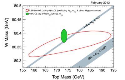 La massa del Top Nel 1994 CDF RUN I del Tevatron Higgs La massa del bosone di Higgs